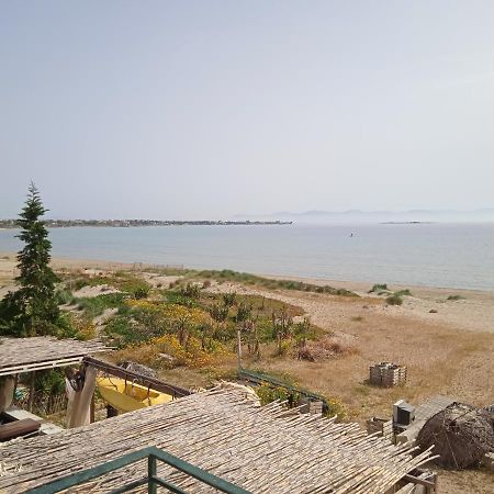 Apartment On The Beach Artemida  Exterior photo
